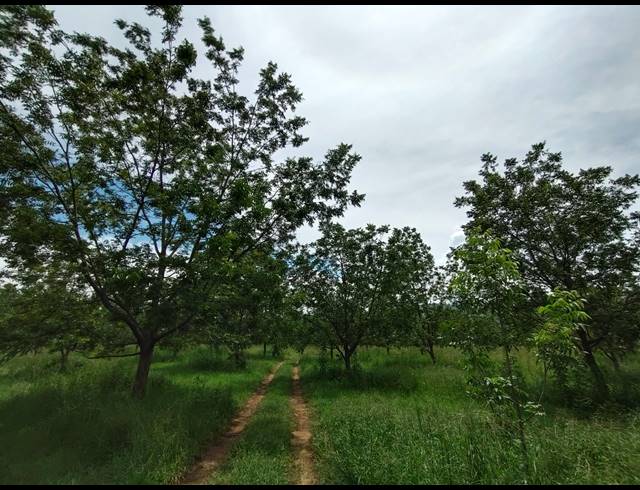 96HA FARM FOR SALE IN HEKPOORT